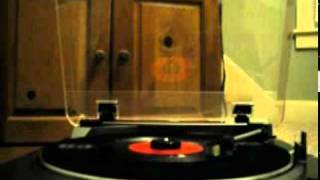 The Buckinghams: Back In Love Again  (45 Vinyl)