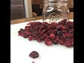 DEHYDRATING LEFT OVER CRANBERRIES TO MAKE CRAISINS DEHYDRATING LEFT OVER CRANBERRIES TO MAKE CRAISINS