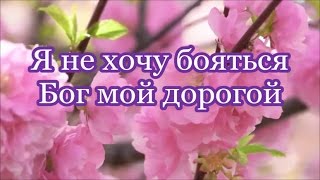 Не хочу один клевать я пусть скорей приходят братья