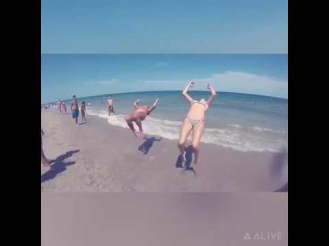 Robin court takes on palm beach