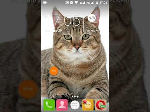 Eaze cash daily 50 rs