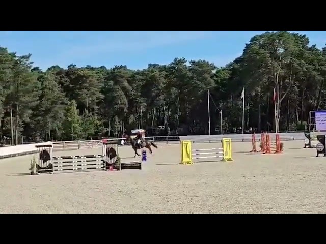 A vendre Baya Delaconterie 