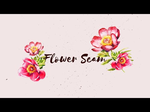THE GIFT | FLOWER | SOU SOU | 2020 NEW SCAM | BEWARE!!