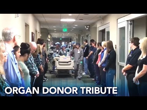 Medical staff line walls in 'Walk of Respect' for organ donor