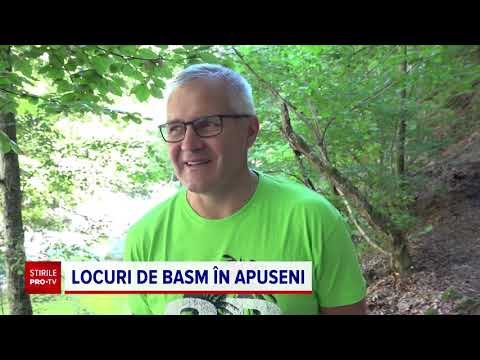 Cabanele, ultimul trend în materie de travel în pandemie