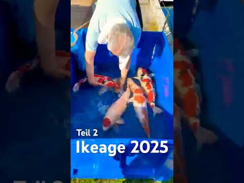 Ki Utsuri Umsetzung Teil 2