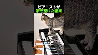 Download lagu ピアニストが 家を空けた結果 mp3 Download lagu ピアニストが 家を空けた結果 mp3