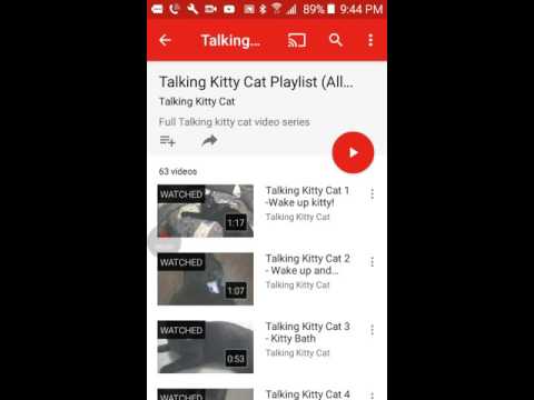 THE TALKING CAT!! reacting to talking kitty cat 1 Wake up kitty!