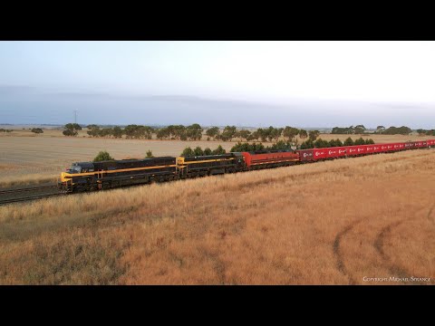C501 X31 CLF2 Leading 9721V SCT / SBR Container Train With Bonus Horn Show (3/3/2024) - PoathTV