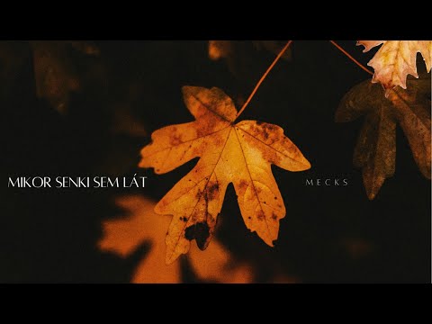 MECKS - MIKOR SENKI SEM LÁT (OFFICIAL LYRIC VIDEO)