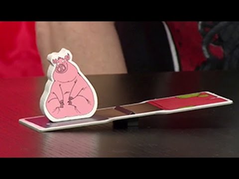 Pasch-TV Episode 28: Sauschwer - Teaser