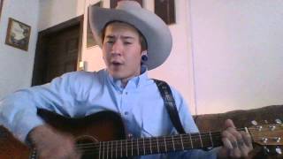 Why Should We Try Anymore (Cover) Hank Williams Sr.