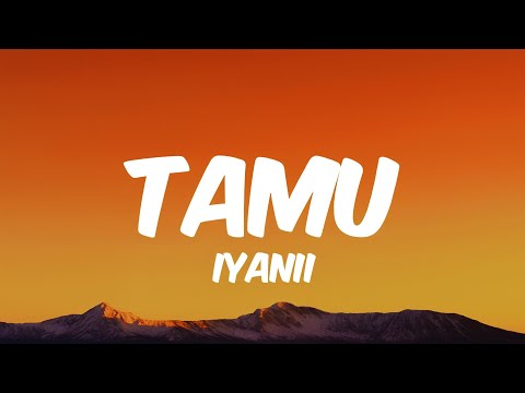 Iyanii - TAMU (Lyrics)