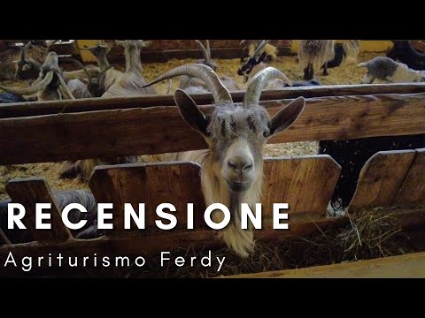 Agriturismo Ferdy [LA PREFERITA DAI THE FERRAGNEZ] *RECENSIONE*