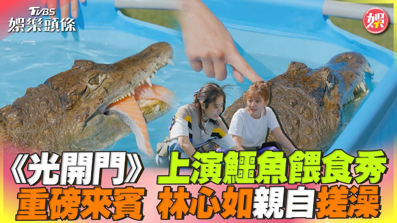 影音/《光開門》上演鱷魚餵食秀 迎接重磅來賓林心如親自搓澡