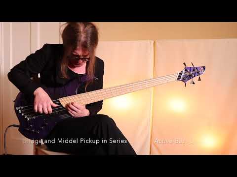 Bo's Bass Lab - Dingwall