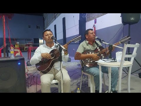 CANTORIA NO BAR ESTAÇÃO DA FARRA EM CUSTÓDIA PERNAMBUCO BRASIL 