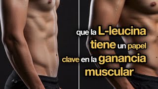 La Importancia de la Leucina para el Crecimiento Muscular y el Rendimiento Físico