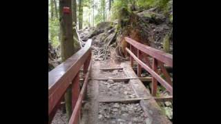 Is Anybody Going To San Antone - Texas Tornados - SONG REMOVED BY WMG!!! WarnerMusicGroup