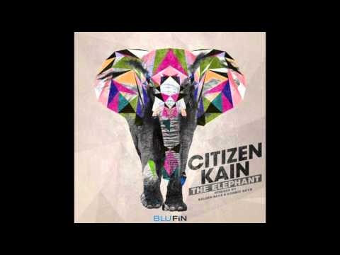 Citizen Kain - Elephant (Cosmic Boys Remix)