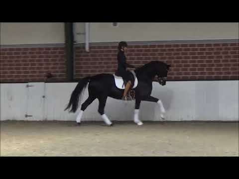 Millennium mit Simone Pearce