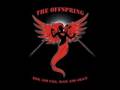 The Offspring Rise and Fall Rage and Grace (Album ...