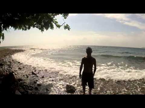 Sea Cucumber / Balat (Bisaya) - Dauin - Philippines Expat