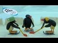 Pingu Pingu Plays Hockey