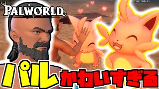 【神ゲー確定】可愛いパルと一緒にこのゲームを遊び尽くします【パルワールド/PALWORLD】#1