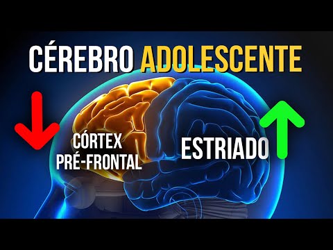 How does neuroscience explain the adolescent brain?