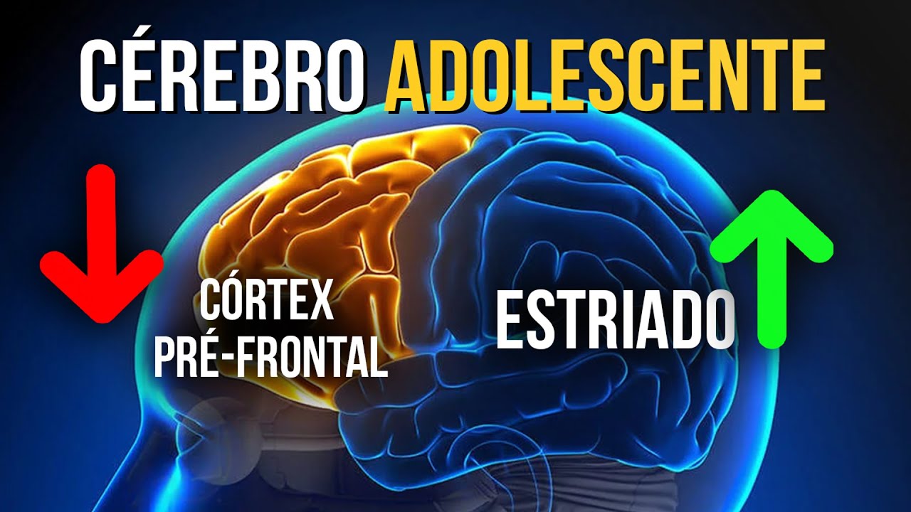 Como a NEUROCIÊNCIA explica o CÉREBRO ADOLESCENTE