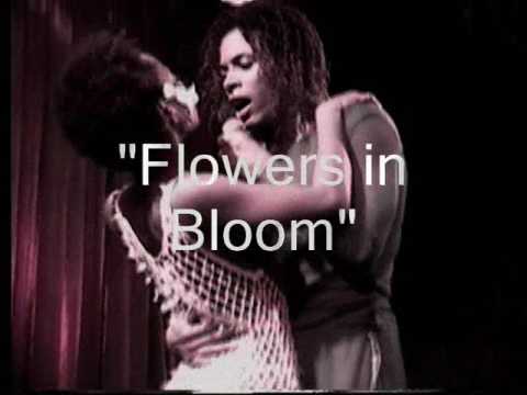 The Punany Poets present Punany TV, Live and in-studio performances