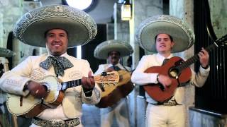 México Voz Que Canta Music Video
