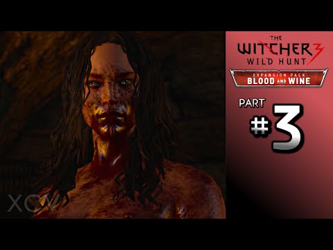 THE WITCHER 3 Blood and Wine Walkthrough Part 3 · Main Quest: The Beast of Toussaint | Bruxa