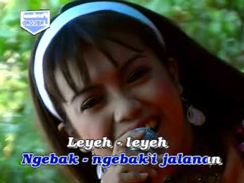 Om Pallapa - Vivi Rosalita - Leyeh Leyeh