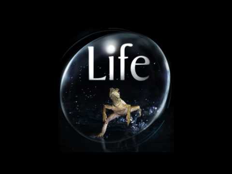 Life "Insects" Episode Soundtrack (2009)  - George Fenton