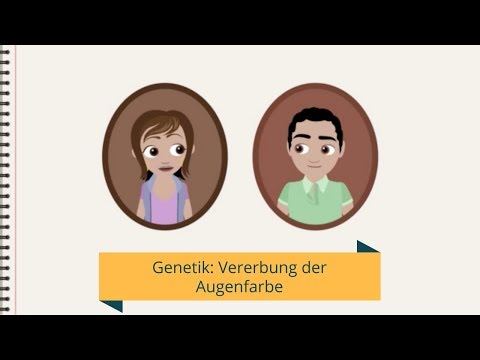 Genetik: Vererbung der Augenfarbe