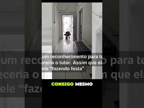 🐾 Cadela reconhece dono na delegacia e resolve disputa de uma vez por todas!