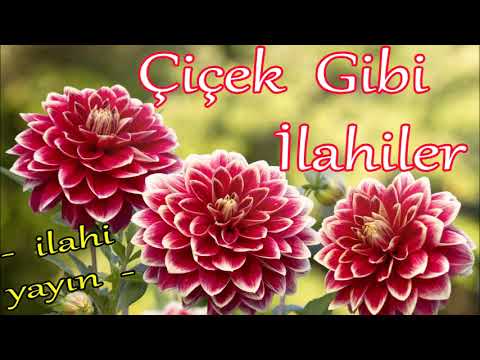 🌹FERAHLATAN İLAHİLER - YENİ KARIŞIK GÜZEL İLAHİLER 🌷 EN ÇOK DİNLENEN İLAHİLER 🌷