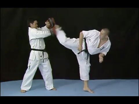 【新極真会】塚本徳臣直伝　マッハ蹴りの極意   SHINKYOKUSHINKAI