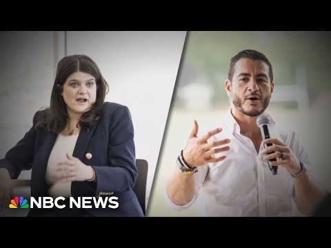 Divided Democrats face critical Michigan Senate primary