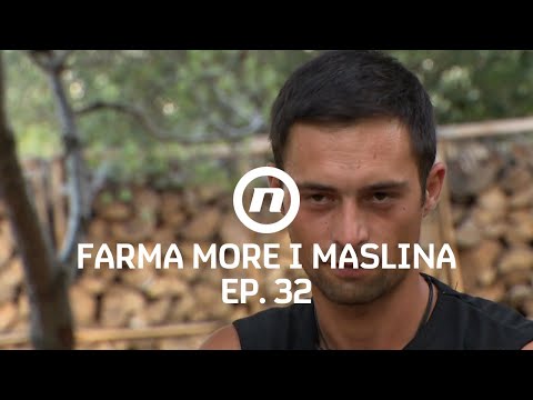 Isprika ili taktika? - Epizoda 32 | Farma More i Maslina