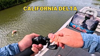 Stumbled into a Good One - California Delta Bass Fishing