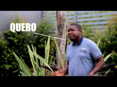 Minguedy Embaixador e Patrício Lemos - Malambas Da Vida [TEASER]