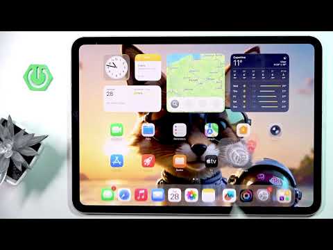 iPad Pro 11 2025 – How to Find IMEI Number
