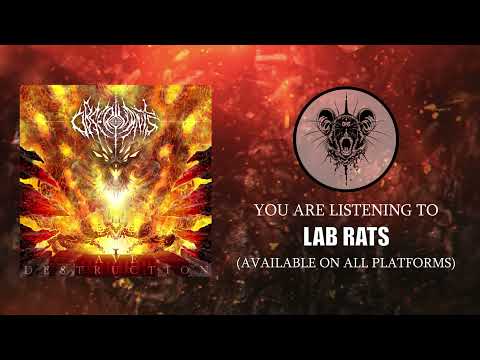 OBSERVANTS - LAB RATS (OFFICIAL)