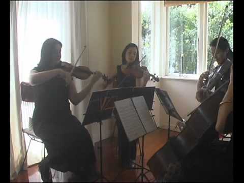 Video Preview - 8