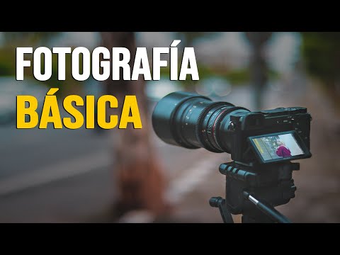 FOTOGRAFÍA BÁSICA - Tutorial explicado PASO a PASO para entender los PRINCIPIOS FUNDAMENTALES