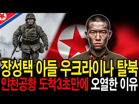 장성택 아들 우크라이나 파병 중 탈북 인천공항 도착3초만에 오열한 유