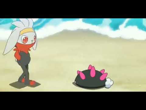 Pyukumuku Pokémon|| Pokédex Data ||